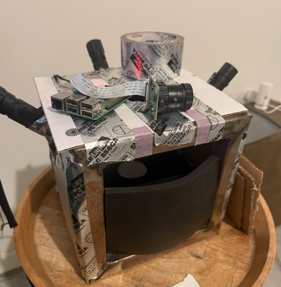 Vibe Science: AI and the Rise of Citizen Science